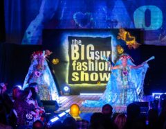 Photos by Brian Mack (500/600)